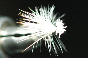 SB (Short Body) Cadiz (Bleach) Dunn