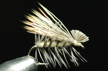 Elk Hair Caddis (Natural) Tan