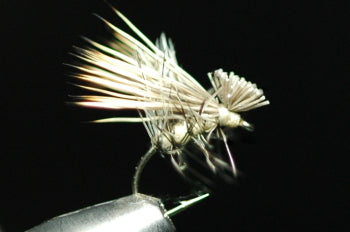 SB (Short Body) Cadiz (Natural) Tan