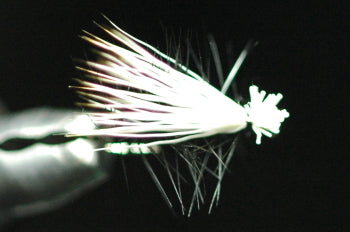 Elk Hair Caddis (Bleach) Black