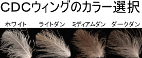 CDC Bearded Adult