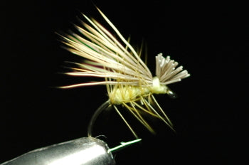 SB (Short Body) Cadiz (Natural) Yellow
