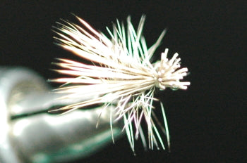 SB (Short Body) Cadiz (Natural) Tan