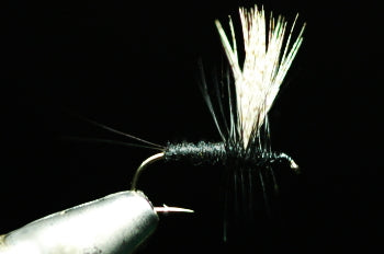 Soluxe Dan Black