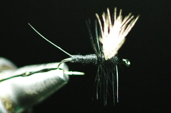 Soluxe Dan Black