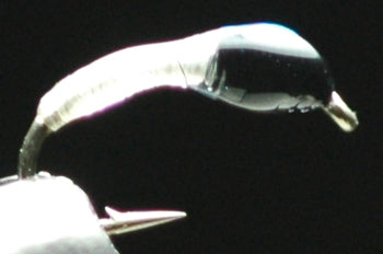 FH (Flash Head) Yusurika Pupa White