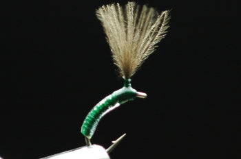 CDC Floating Eucommia Pupa Clear/Green