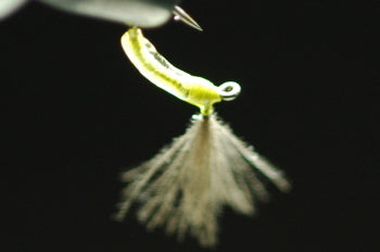 CDC Floating Eucommia Pupa Clear/White