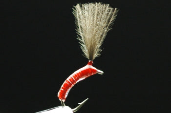 CDC Floating Eucommia Pupa Clear/Red