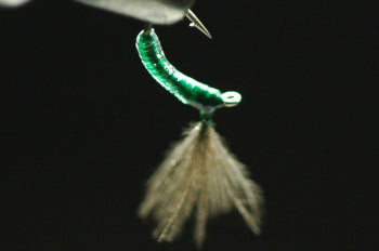 CDC Floating Eucommia Pupa Clear/Green