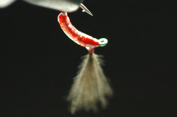 CDC Floating Eucommia Pupa Clear/Red