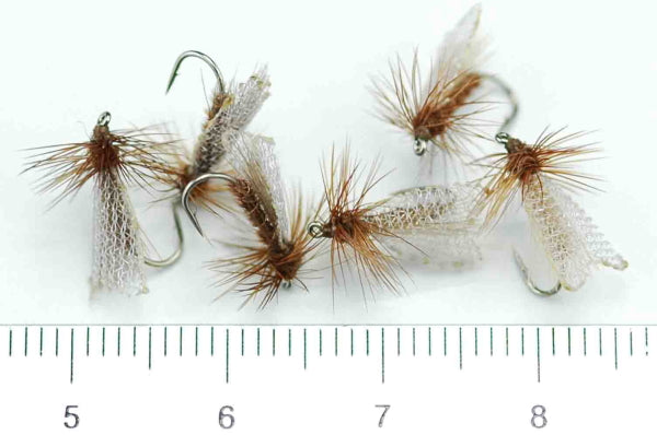 CDC Onashikaguera #16 Set of 6