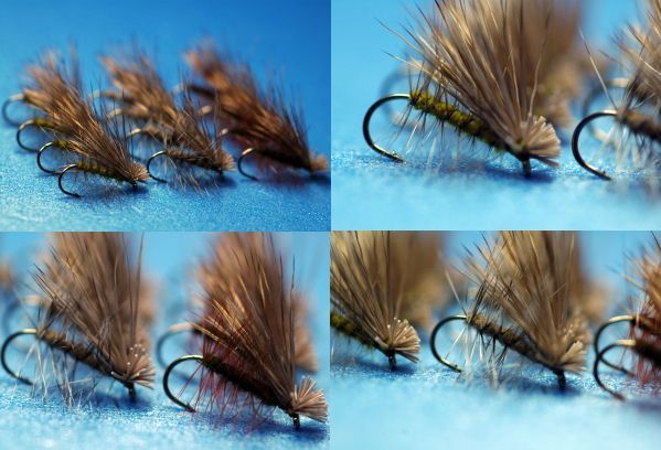 Elk Hair Caddis Natural #10 Set of 12