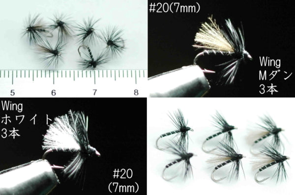 CDC Midge Adult Black #20 Set of 6