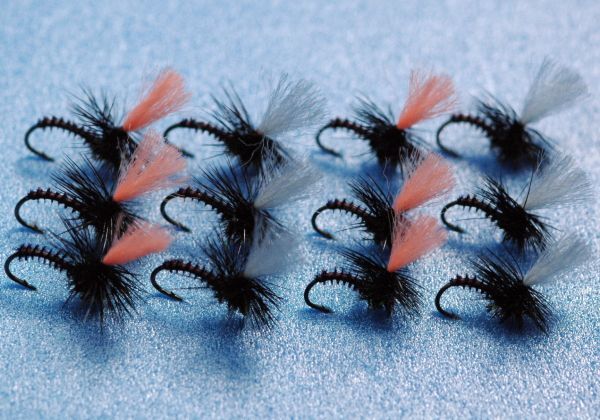 Peacock Parachute Red 12-piece set