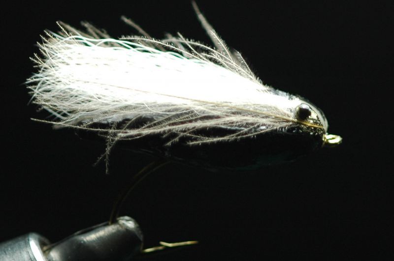 Shimazaki Sikeda Black #12 fix