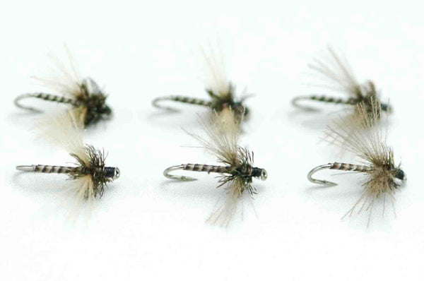 CDC Spent Midge #20 Set of 6