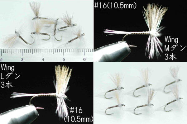 CDC Quill Gordon #16 Set of 6