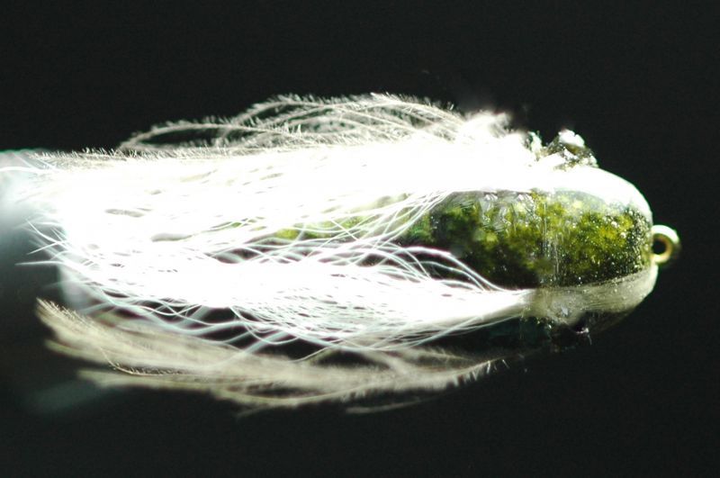 Shimazaki Sikeda Olive #12 fix