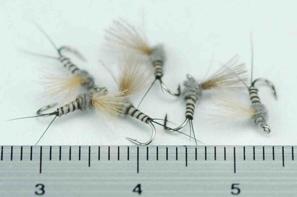 CDC Dan Muskrat Gray Quill Body #20 Set of 6