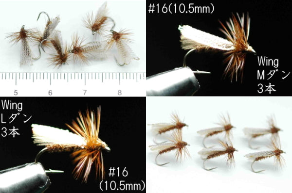 CDC Onashikaguera #16 Set of 6