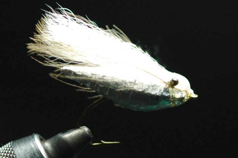 Shimazaki Sikeda silver #10 fix