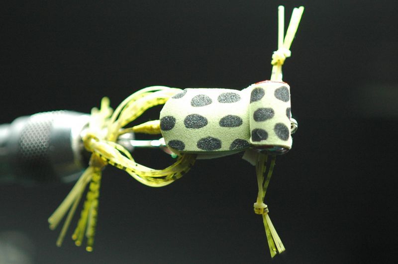 Freaky Frog #2