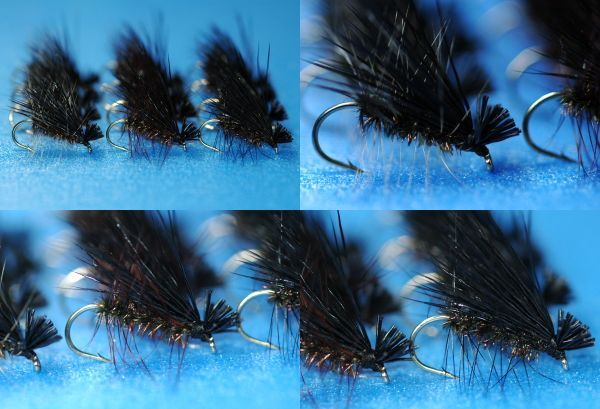 Black Caddis #10, set of 12