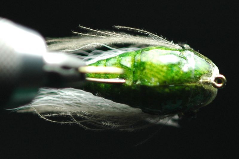 Shimazaki Sikeda Olive #12 fix