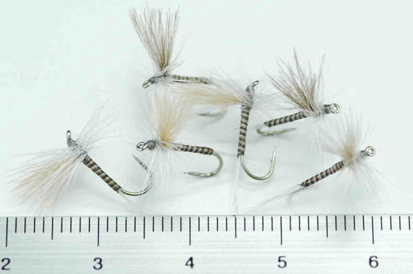 CDC Quill Gordon #16 Set of 6