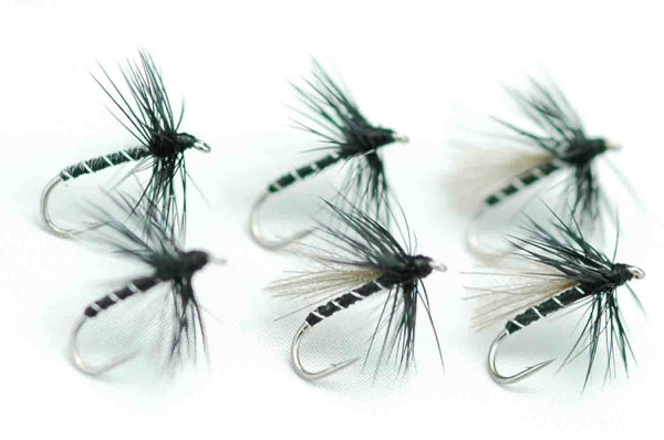 CDC Midge Adult Black #20 Set of 6