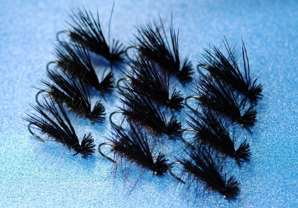 Black Caddis #10, set of 12