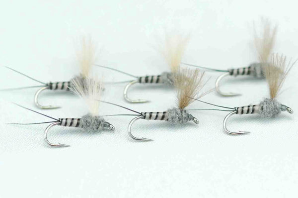 CDC Dan Muskrat Gray Quill Body #20 Set of 6