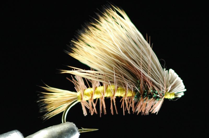 Cocab Double Wing Caddis #6
