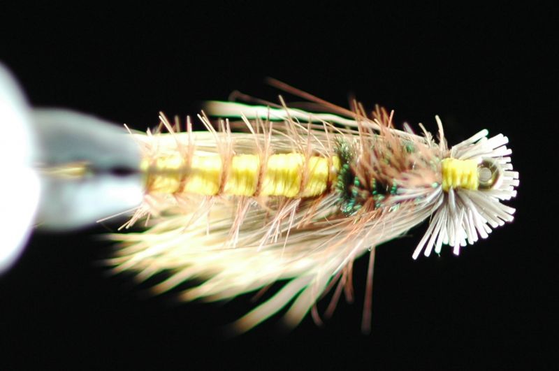 Cocab Double Wing Caddis #6