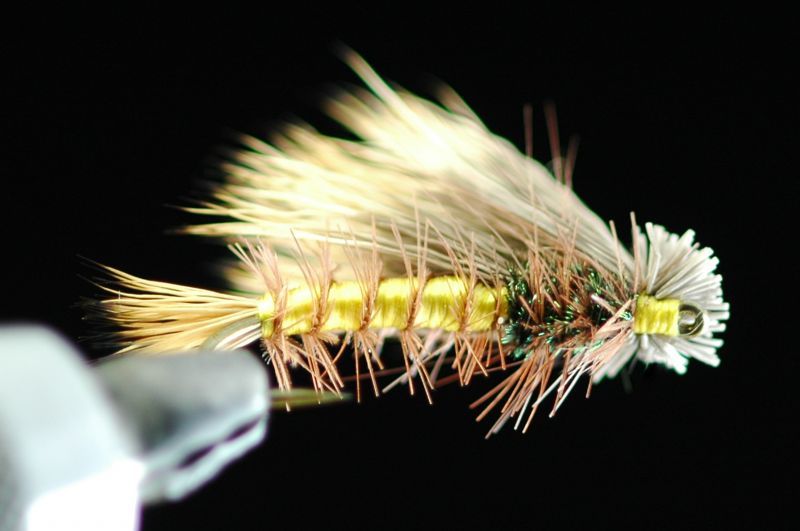 Cocab Double Wing Caddis #6