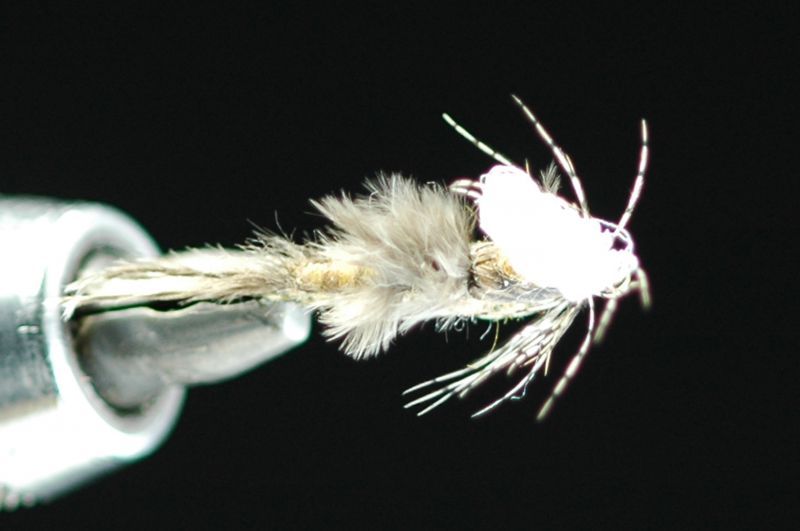 ADW floating monkfish nymph #10 fix