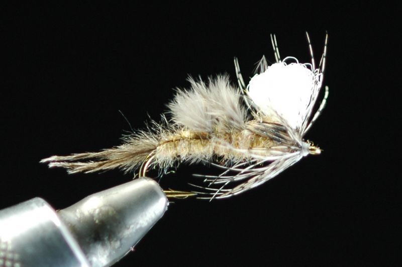 ADW floating monkfish nymph #10 fix