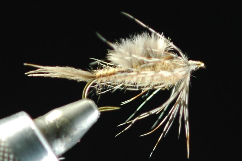 Monkfish nymph #8 fix