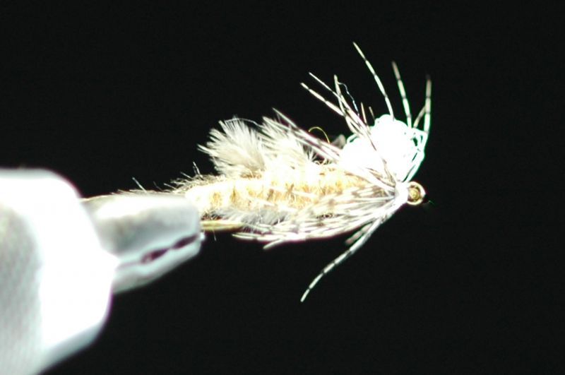 ADW floating monkfish nymph #10 fix