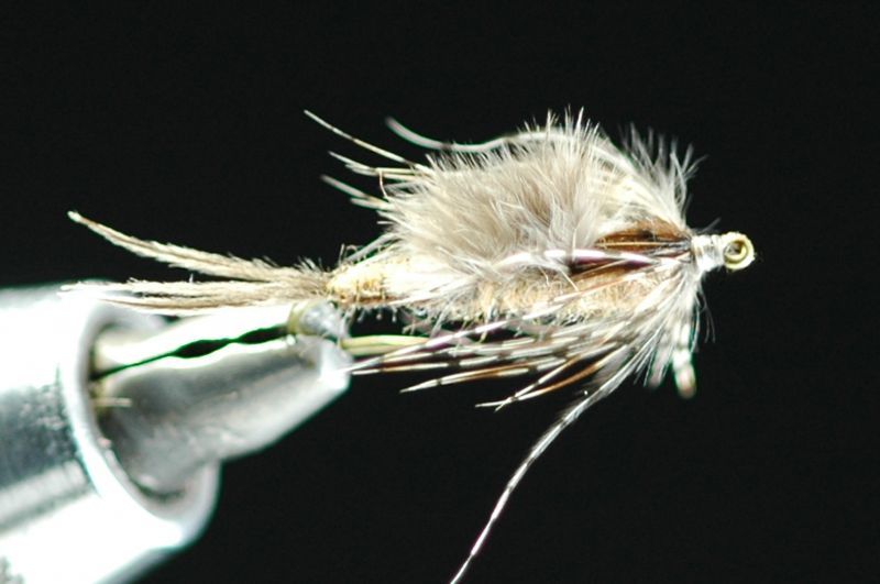 Monkfish nymph #8 fix