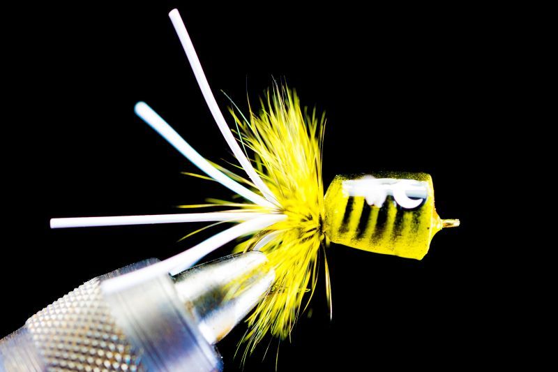 Popper YELLOW BEE