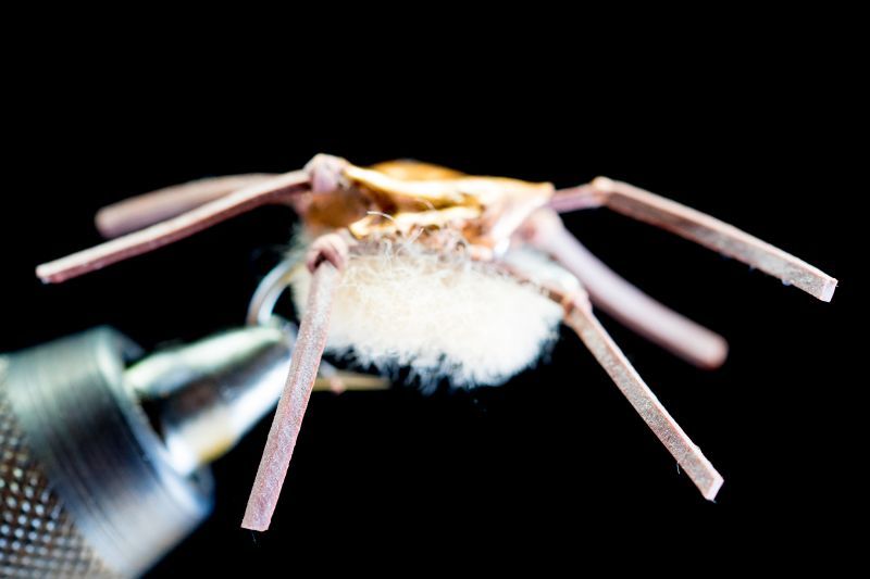 FLATS CRAB, BAUER'S-TAN