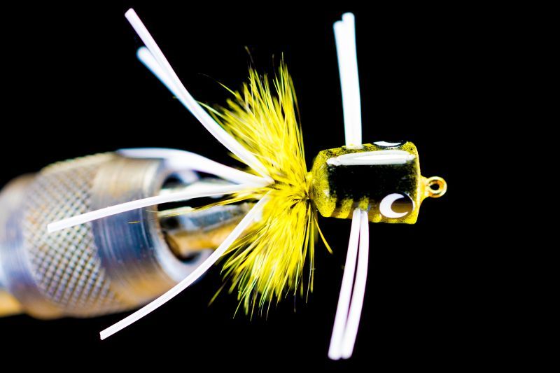 Popper YELLOW BEE