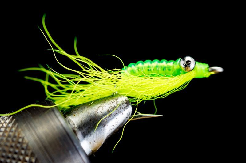 Crazy Charlie Chartreuse CRAZY CHARILE CHAR