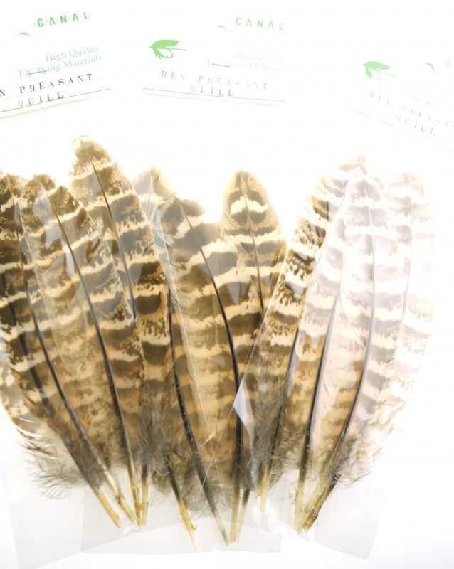 CANAL Hen Pheasant Quill
