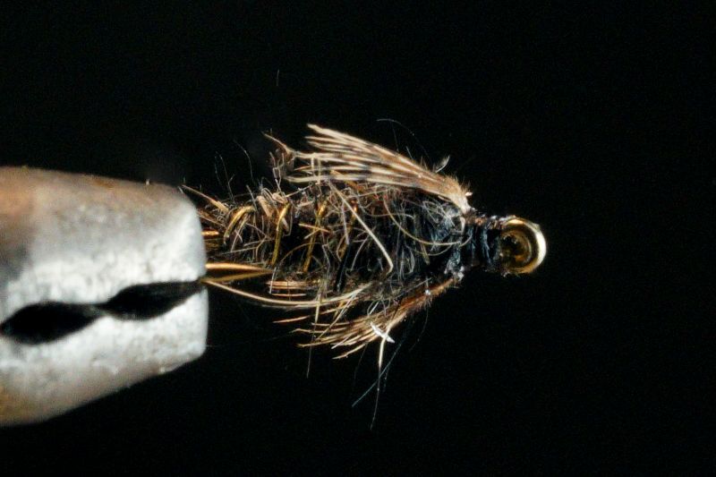 Flashback Hair's Ear Nymph Black same day shipping available fix