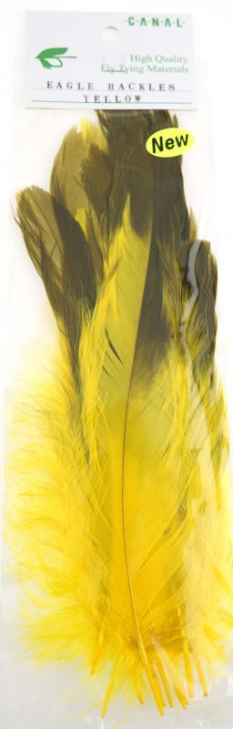 Canal Eagle Hackle