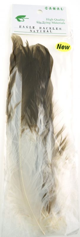 Canal Eagle Hackle