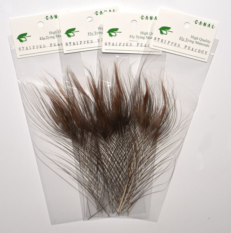 CANAL Stripped Peacock